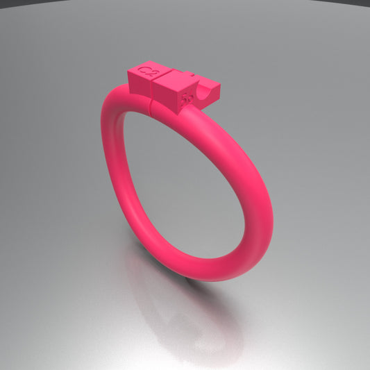 Customized Chastity Ring 56 C2 ( Ring only )